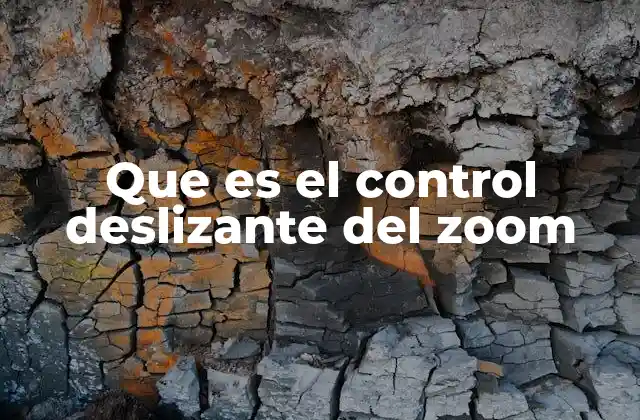 Que es el Control Deslizante Del Zoom