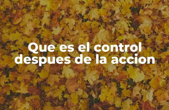 Que es el Control Despues de la Accion