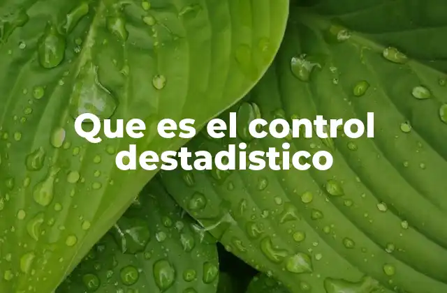 Que es el Control Destadistico