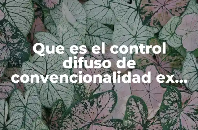 Que es el Control Difuso de Convencionalidad Ex Officio