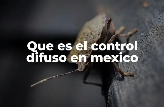 Que es el Control Difuso en Mexico