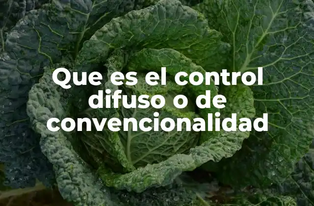 Que es el Control Difuso o de Convencionalidad