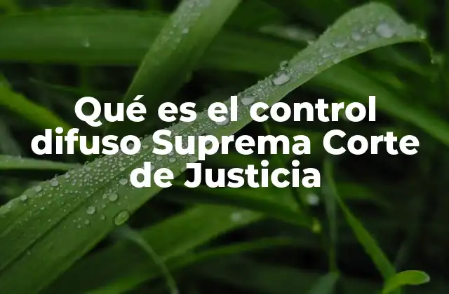 El papel de la Suprema Corte en la protección de los derechos