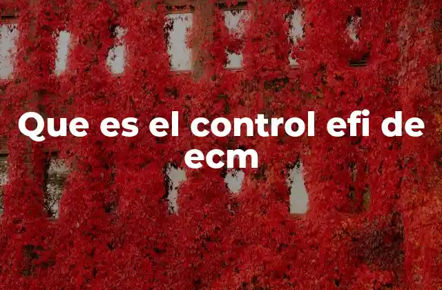 Que es el Control Efi de Ecm