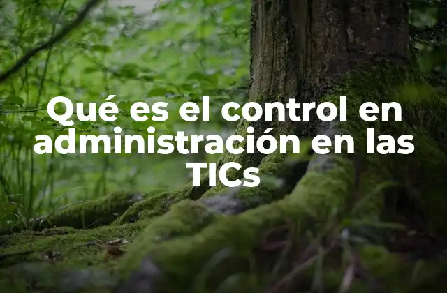 Qué es el Control en Administración en las Tics