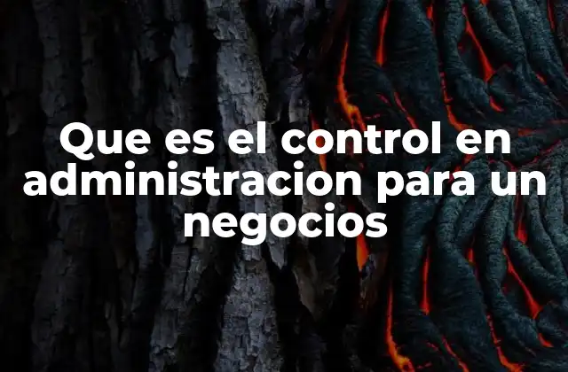 Que es el Control en Administracion para un Negocios 2 La importancia del control en el desarrollo empresarial