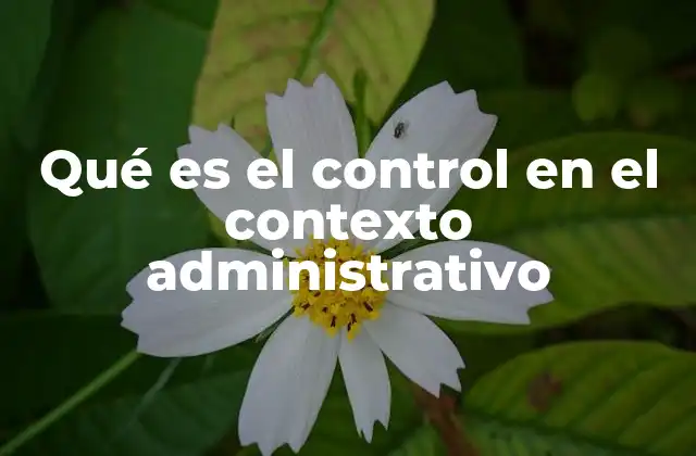 Qué es el Control en el Contexto Administrativo
