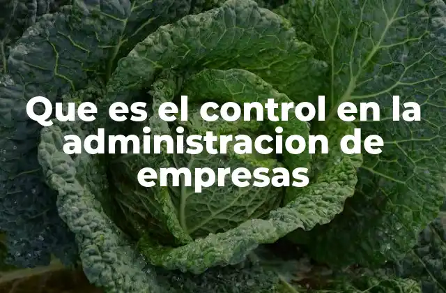 Que es el Control en la Administracion de Empresas