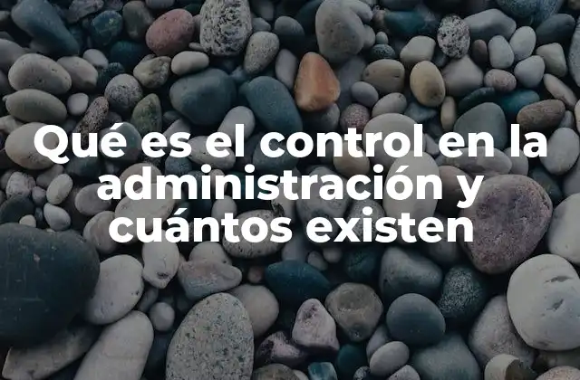 Qué es el Control en la Administración y Cuántos Existen