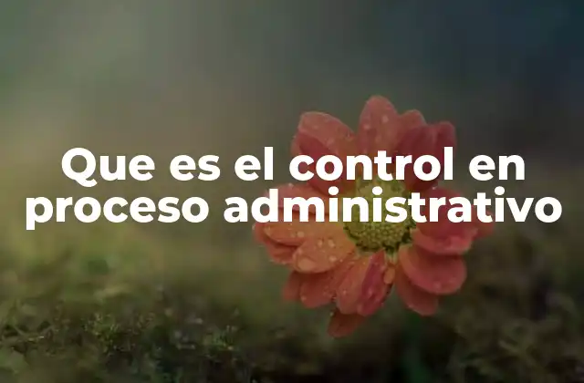 Que es el Control en Proceso Administrativo 2 La importancia del control en la gestión organizacional