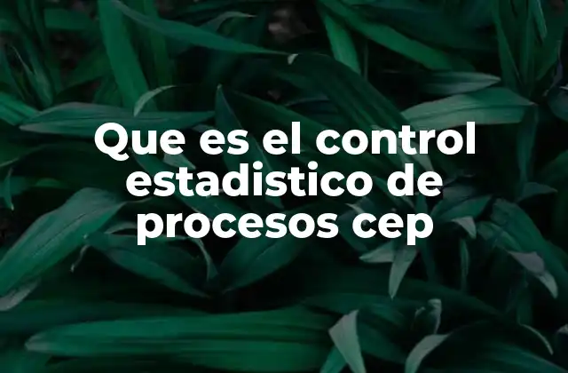 Que es el Control Estadistico de Procesos Cep