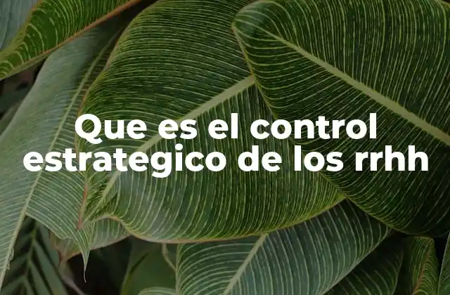 Que es el Control Estrategico de los Rrhh