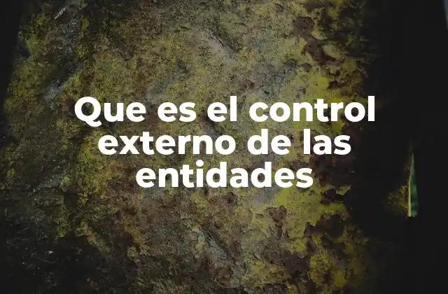 Que es el Control Externo de las Entidades