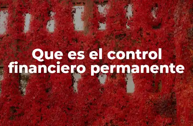 Que es el Control Financiero Permanente