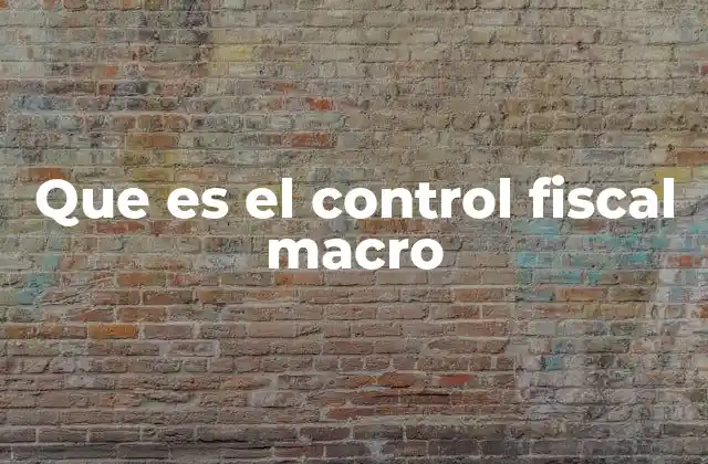Que es el Control Fiscal Macro