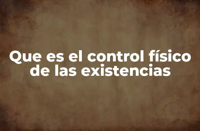 Que es el Control Físico de las Existencias
