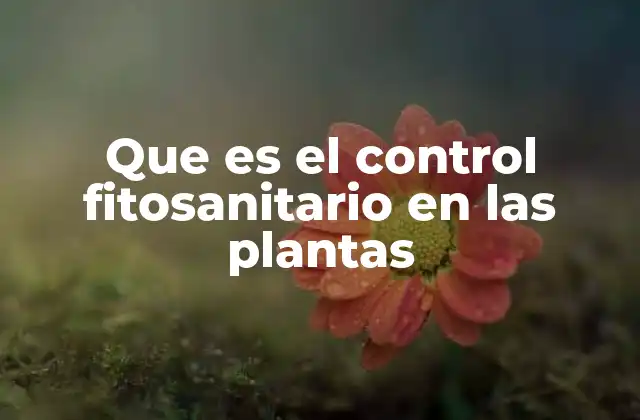 La importancia de mantener la salud vegetal para el desarrollo sostenible