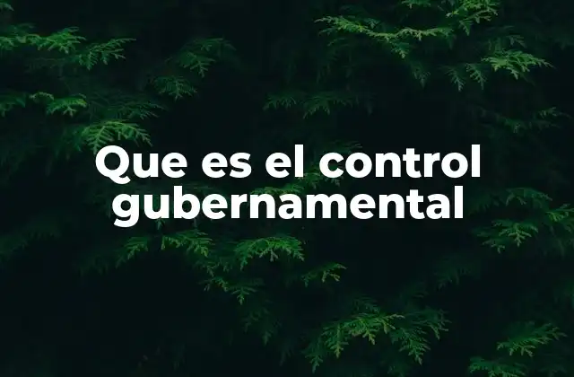 Que es el Control Gubernamental