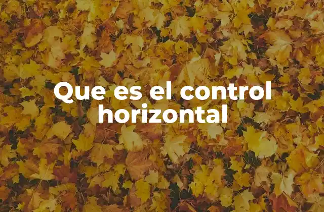 El rol del control horizontal en la gestión empresarial