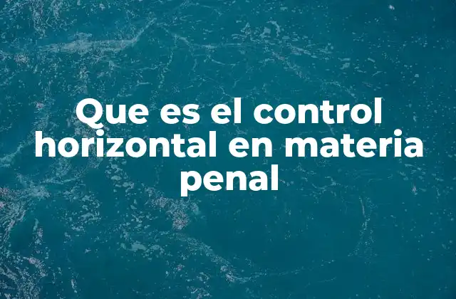 Que es el Control Horizontal en Materia Penal