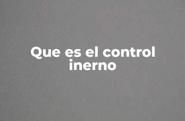 Que es el Control Inerno