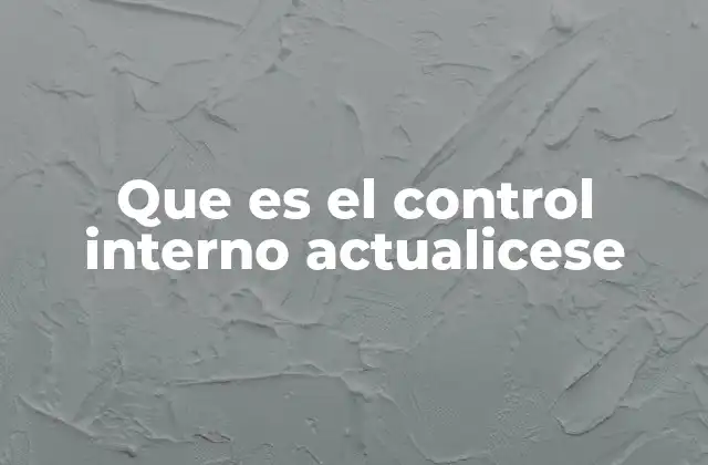 Que es el Control Interno Actualicese
