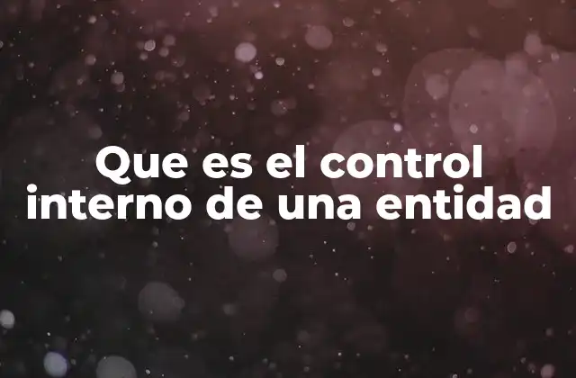 Que es el Control Interno de una Entidad 2 La importancia del control interno en la gestión empresarial