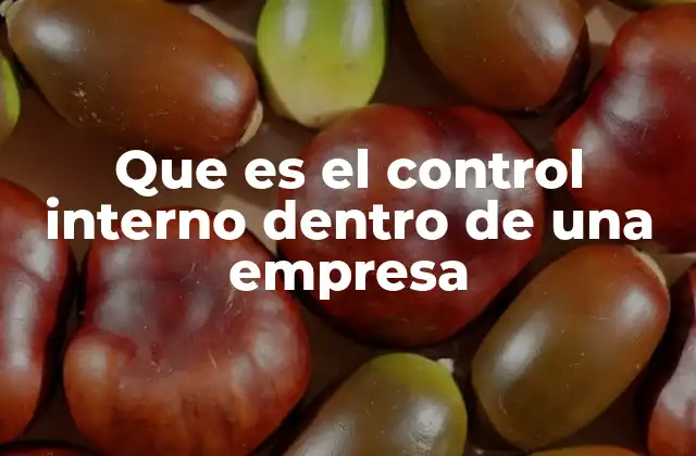 La importancia de los sistemas de control en la gestión empresarial