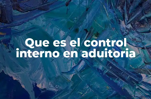 Que es el Control Interno en Aduitoria