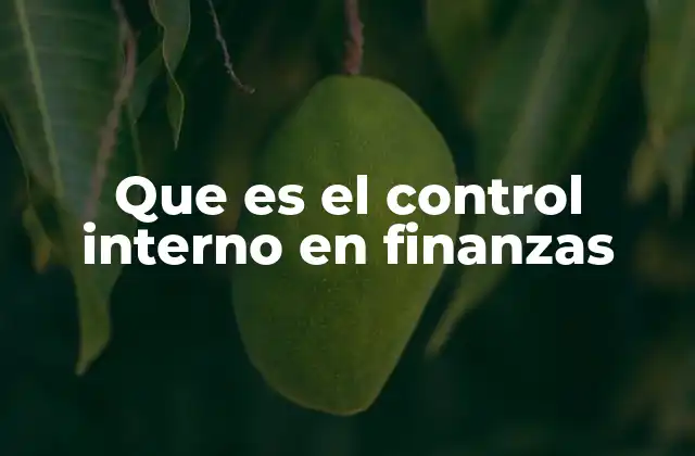 Que es el Control Interno en Finanzas