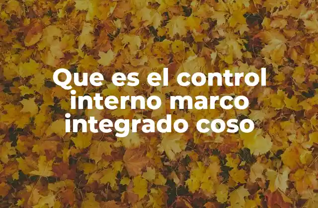 Que es el Control Interno Marco Integrado Coso