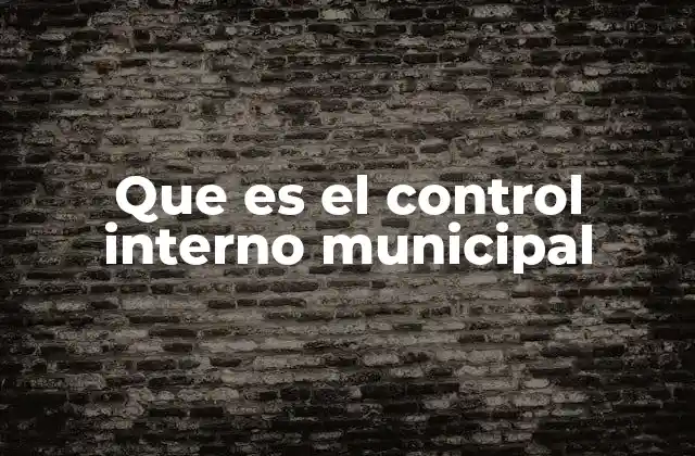 Que es el Control Interno Municipal