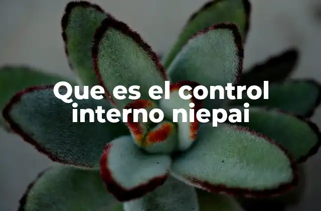 Que es el Control Interno Niepai