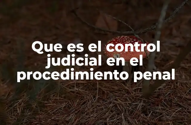 Que es el Control Judicial en el Procedimiento Penal