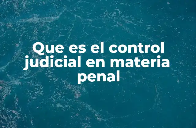 Que es el Control Judicial en Materia Penal