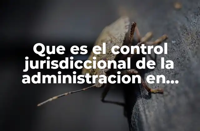 Que es el Control Jurisdiccional de la Administracion en Mexico