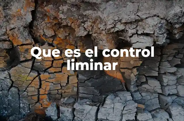 Que es el Control Liminar