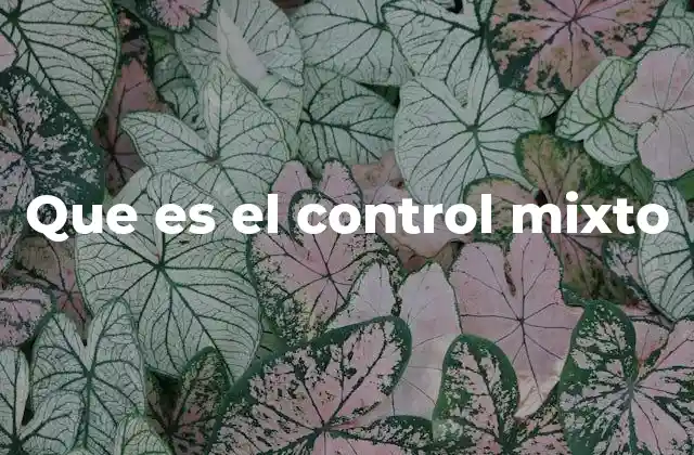 Que es el Control Mixto