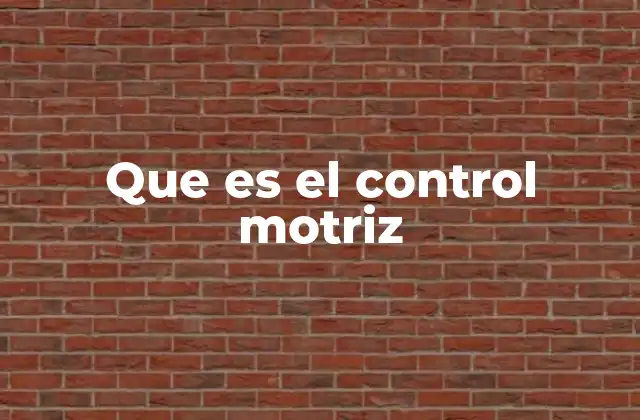 Que es el Control Motriz