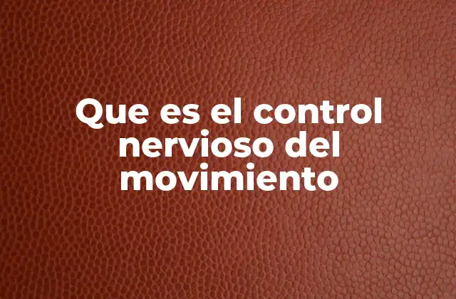 Que es el Control Nervioso Del Movimiento