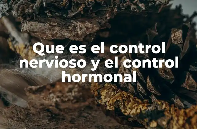 Que es el Control Nervioso y el Control Hormonal