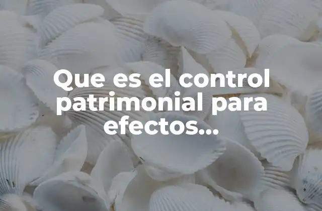Que es el Control Patrimonial para Efectos Gubernamentales