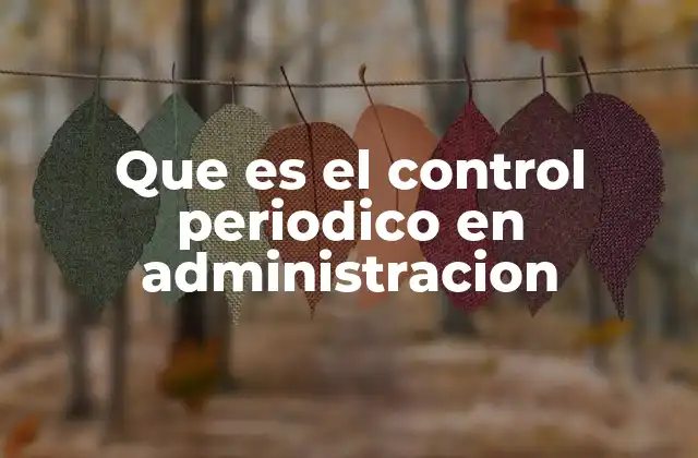 Que es el Control Periodico en Administracion
