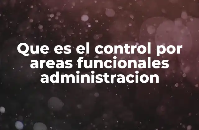 Que es el Control por Areas Funcionales Administracion