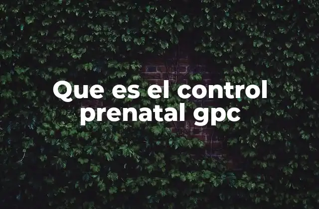 Que es el Control Prenatal Gpc