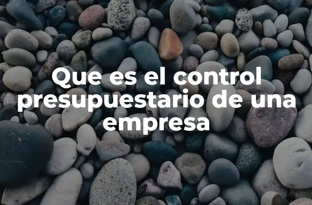 La importancia del control financiero en la gestión empresarial