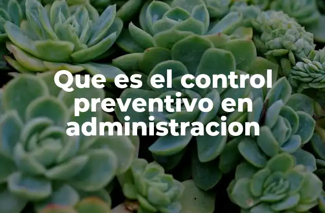 Que es el Control Preventivo en Administracion