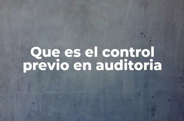 Que es el Control Previo en Auditoria