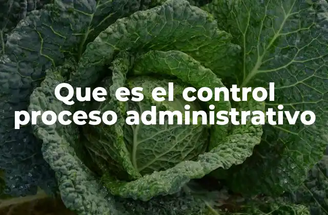 Que es el Control Proceso Administrativo