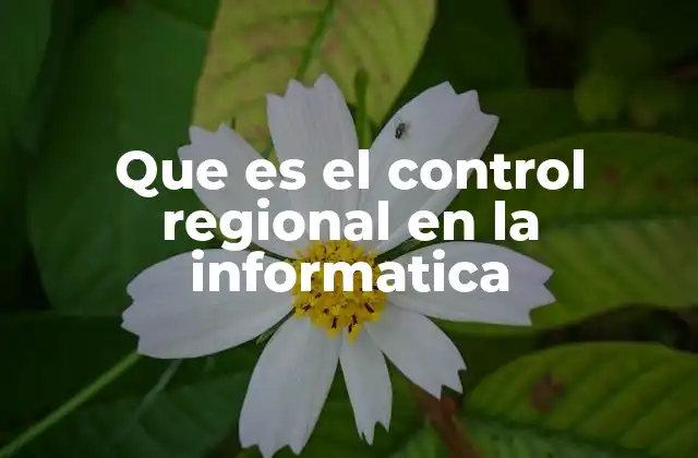 Que es el Control Regional en la Informatica